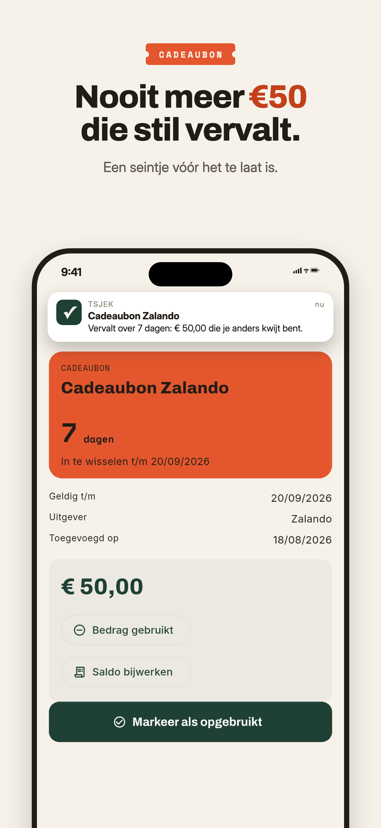 Cadeaubon-detail in Tsjek met vervaldatum en resterend saldo